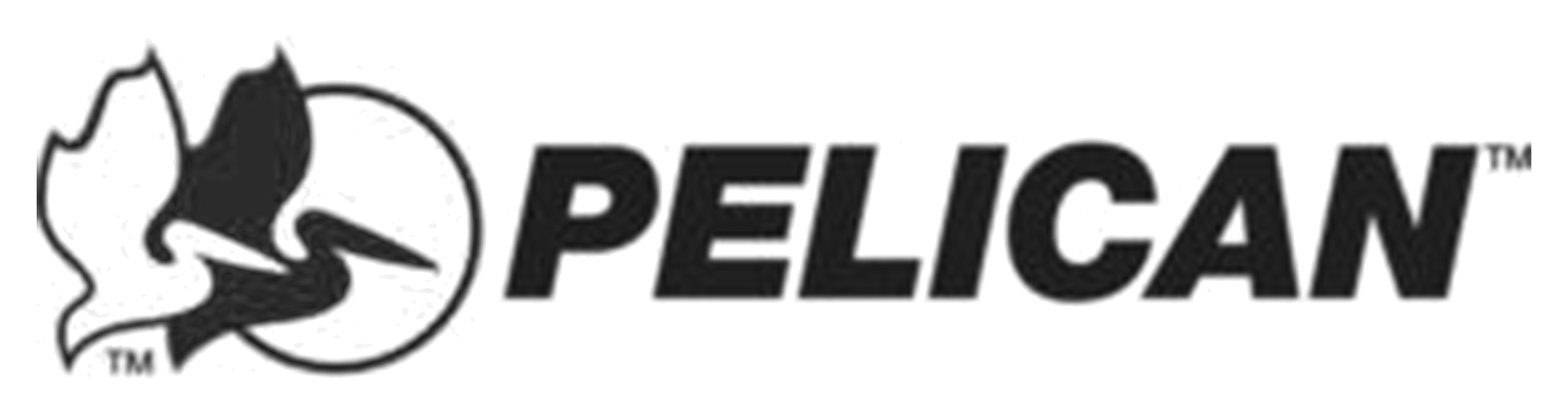 Pelican
